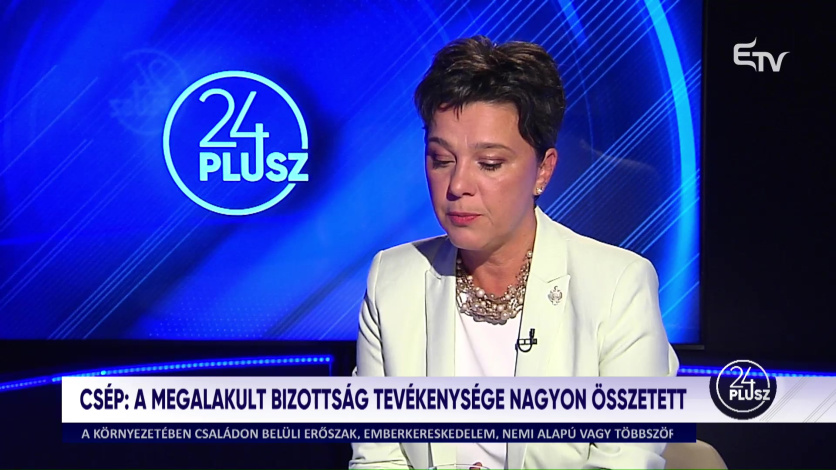 🔴 | 🎥 Csép Éva Andrea most élőben az Erdély TV 24plusz műsorában.