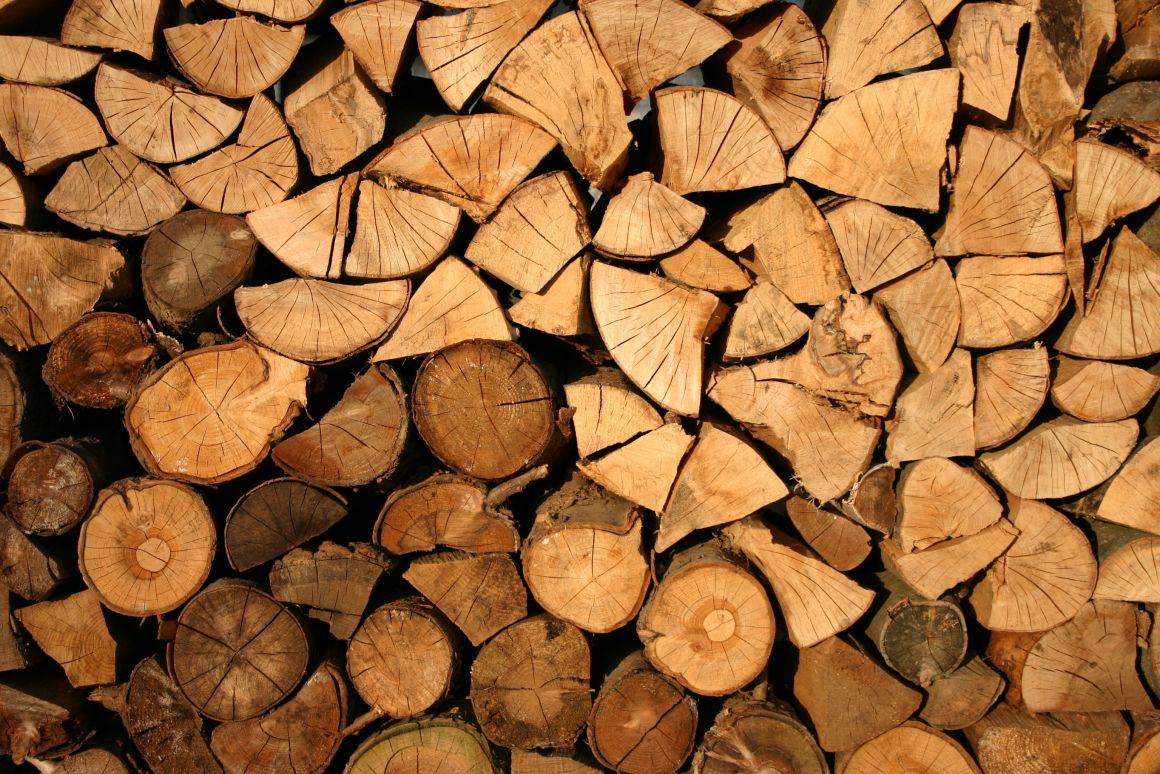 Tánczos Barna: a fogyasztók védelmében korlátozzuk a fűtésre használt fa árát a téli időszakra