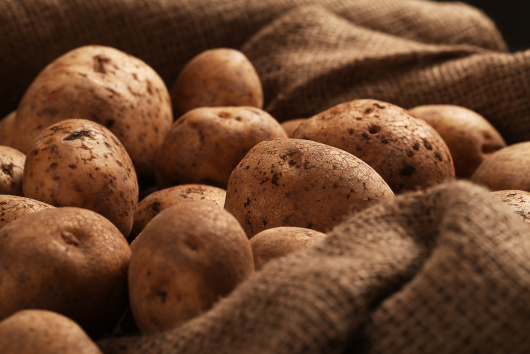 RMDSZ: támogatjuk a krumpli- és fokhagymatermesztő gazdákat
