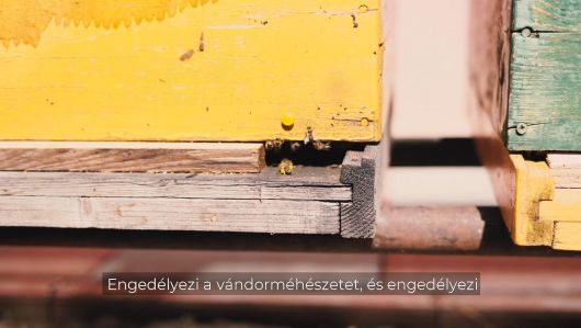 Tánczos Barna: Jó hír a méhészeknek! Tánczos Barna: Jó hír a méhészeknek!