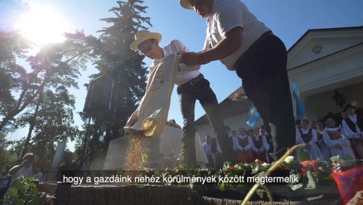 A székelyföldi búzaösszeöntés ünnepén Csernátonban A székelyföldi búzaösszeöntés ünnepén Csernátonban