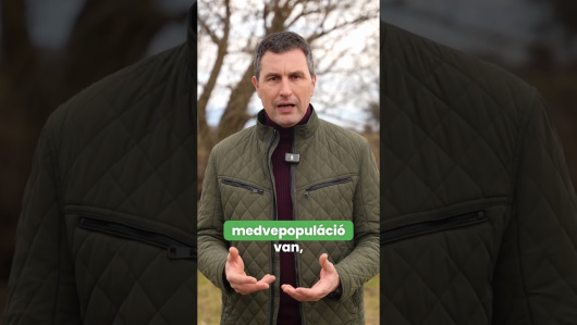 Törvénytervezetet nyújtottunk be a kilövési kvóta megduplázásáról