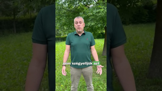 Mi dolgozunk, mások posztolnak